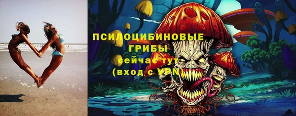 прущие грибы Алексеевка