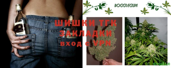 apvp Алексин