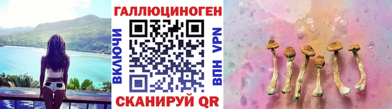 где купить наркоту  Алупка  Псилоцибиновые грибы мухоморы 