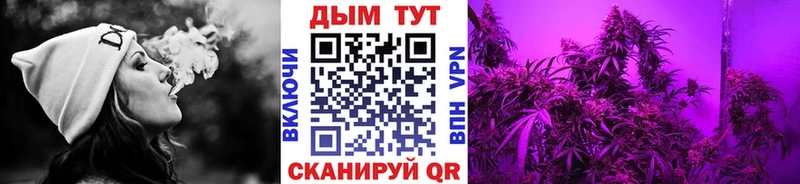 где найти   Алупка  Канабис OG Kush 
